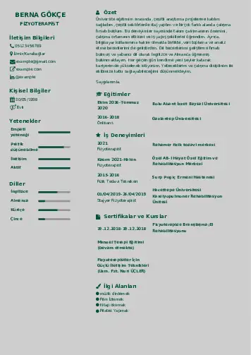 Fizyoterapist Cv Örnekleri cv indir